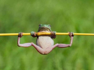 Quanto è importante il Core Stability nello&nbsp;sport?